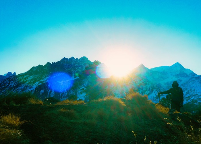 palak-pitroda-cySXeFEsYes-unsplash (2) (1).jpg